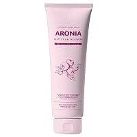 Маска для волос Pedison Арония Institute-beaut Aronia Color Protection Treatment 100мл 